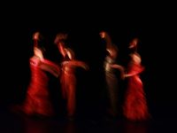 Gala Solidaria de Danza: arte que transforma